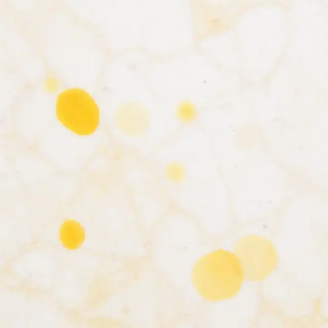 Remove Deep Stains and Water Rings from Marble 