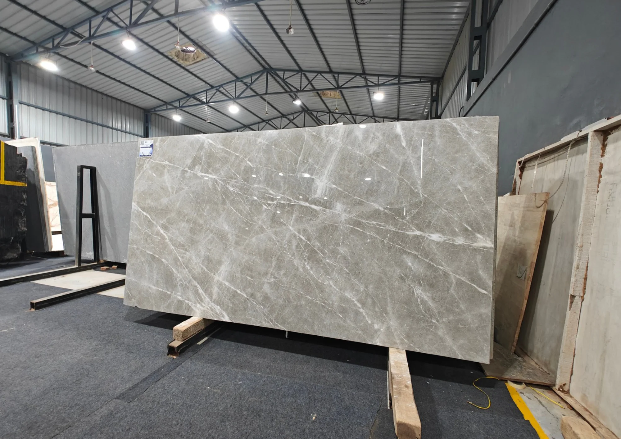 VERSILIA Grey